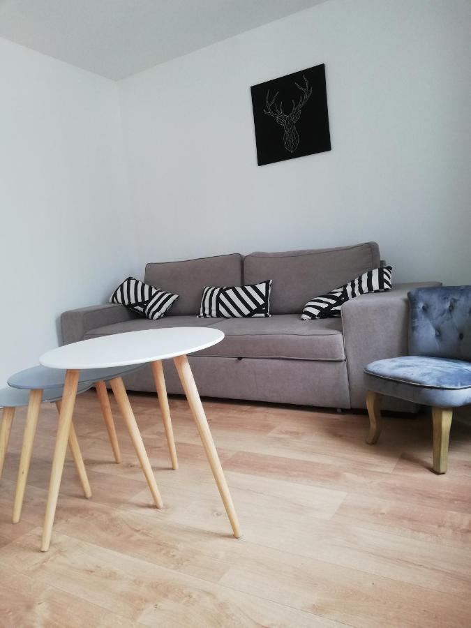 Loft Bien Equipe Hyper Centre D'Amboise Apartment Ngoại thất bức ảnh