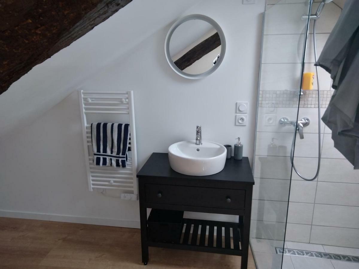 Loft Bien Equipe Hyper Centre D'Amboise Apartment Ngoại thất bức ảnh